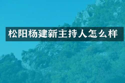 松阳杨建新主持人怎么样
