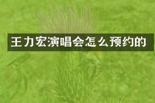 王力宏演唱会怎么预约的