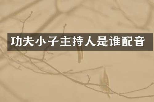 功夫小子主持人是谁配音