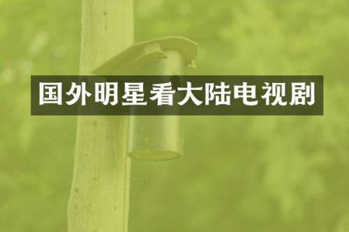 国外明星看大陆电视剧