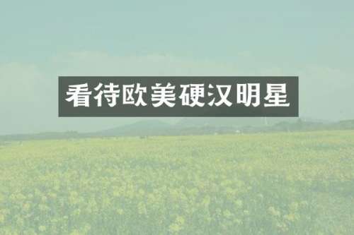 看待欧美硬汉明星
