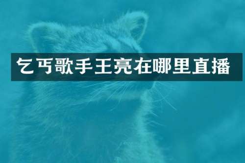乞丐歌手王亮在哪里直播
