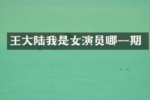 王大陆我是女演员哪一期