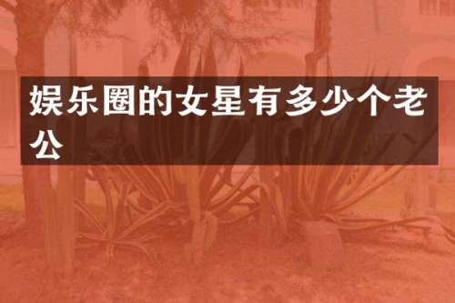 娱乐圈的女星有多少个老公
