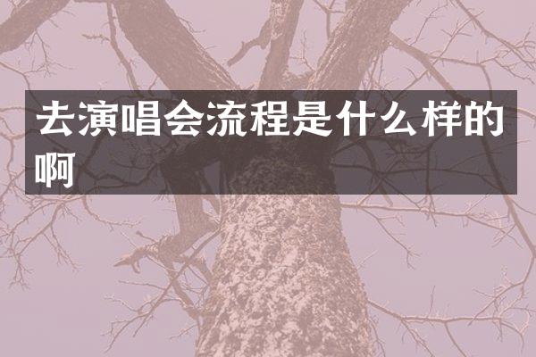 去演唱会流程是什么样的啊