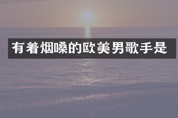 有着烟嗓的欧美男歌手是