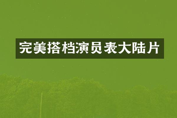 完美搭档演员表大陆片