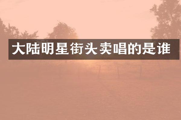 大陆明星街头卖唱的是谁