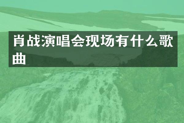 肖战演唱会现场有什么歌曲