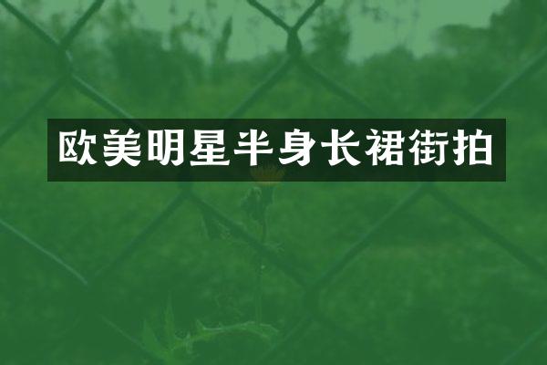 欧美明星半身长裙街拍