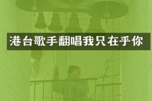 港台歌手翻唱我只在乎你