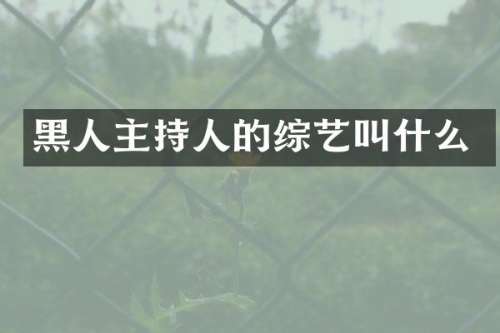黑人主持人的综艺叫什么