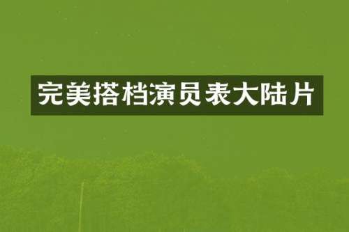 完美搭档演员表大陆片