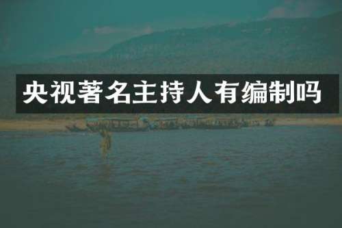 央视著名主持人有编制吗