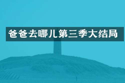 爸爸去哪儿第三季大结局