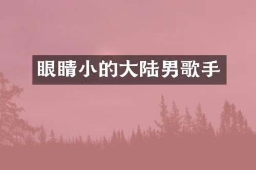 眼睛小的大陆男歌手
