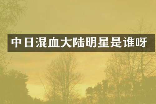 中日混血大陆明星是谁呀
