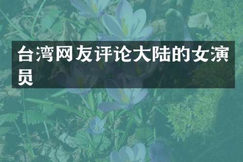 台湾网友评论大陆的女演员