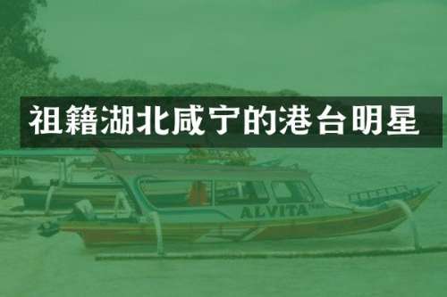 祖籍湖北咸宁的港台明星