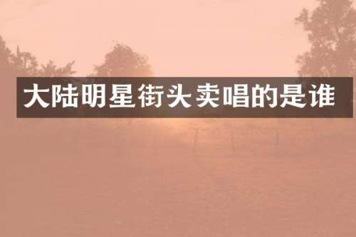 大陆明星街头卖唱的是谁