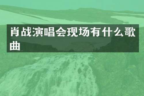 肖战演唱会现场有什么歌曲