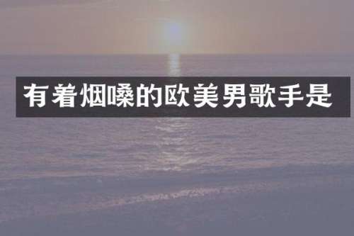 有着烟嗓的欧美男歌手是
