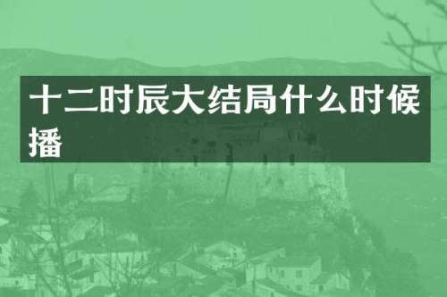 十二时辰大结局什么时候播