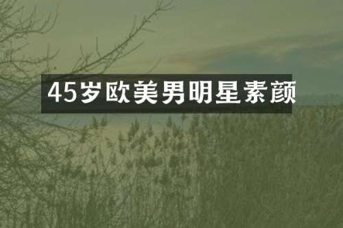 45岁欧美男明星素颜