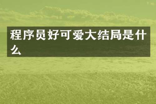 程序员好可爱大结局是什么