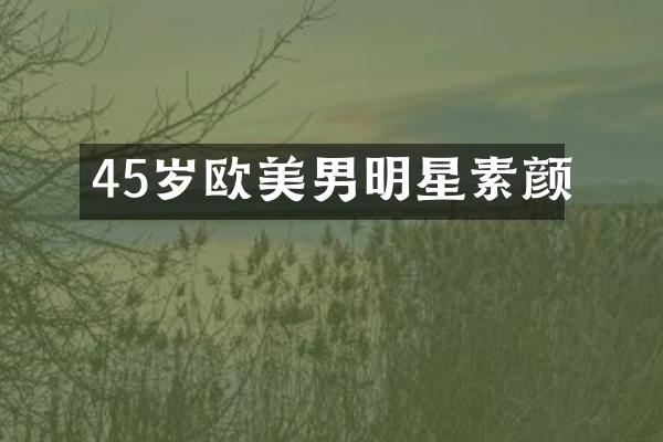 45岁欧美男明星素颜