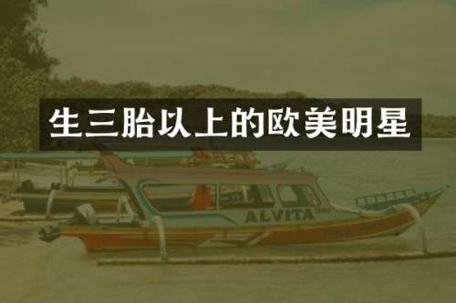 生三胎以上的欧美明星