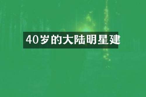 40岁的大陆明星建