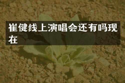 崔健线上演唱会还有吗现在