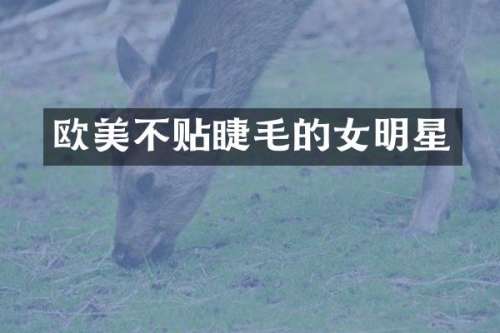 欧美不贴睫毛的女明星