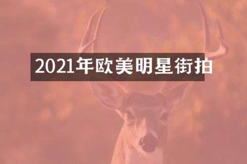 2021年欧美明星街拍