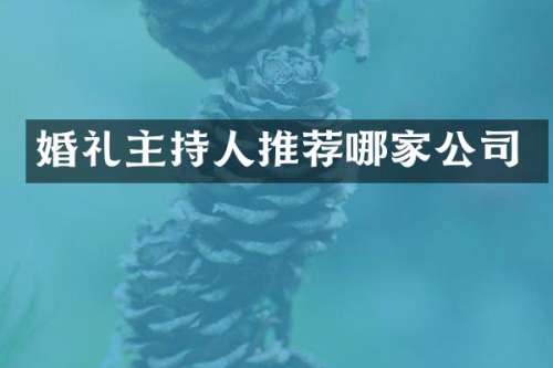 婚礼主持人推荐哪家公司