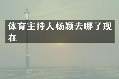 体育主持人杨颖去哪了现在
