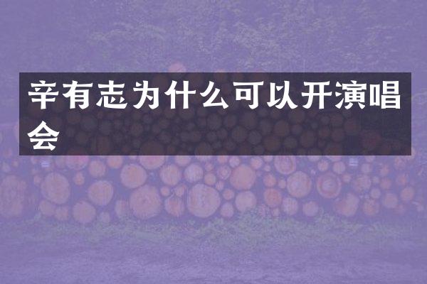 辛有志为什么可以开演唱会