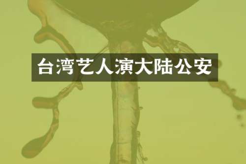 台湾艺人演大陆公安