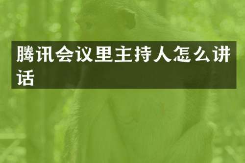 腾讯会议里主持人怎么讲话