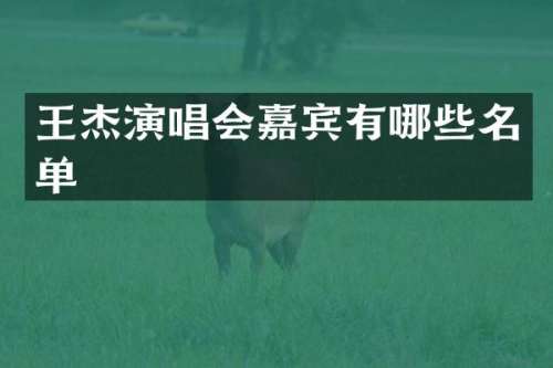 王杰演唱会嘉宾有哪些名单