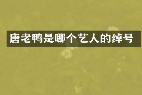 唐老鸭是哪个艺人的绰号
