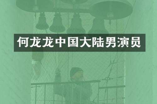 何龙龙中国大陆男演员