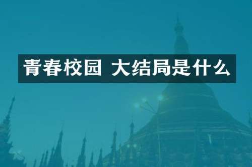 青春校园 大结局是什么