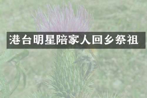 港台明星陪家人回乡祭祖