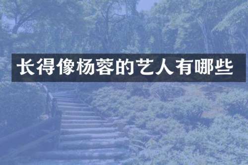 长得像杨蓉的艺人有哪些