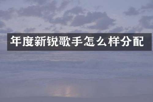 年度新锐歌手怎么样分配