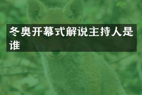 冬奥开幕式解说主持人是谁