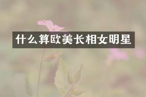 什么算欧美长相女明星
