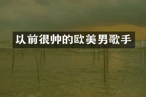 以前很帅的欧美男歌手
